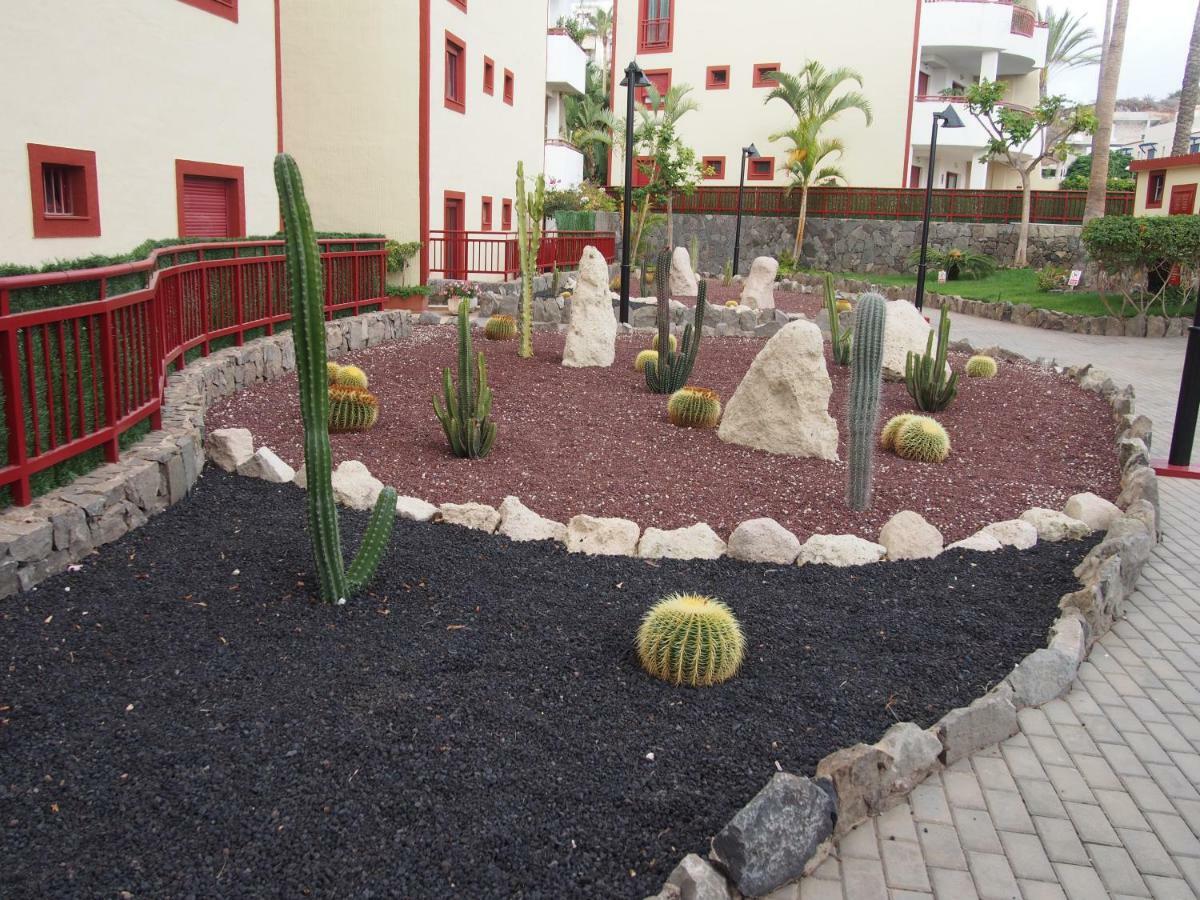 Maravilloso Y Tranquilo Alojamiento En El Palm-Mar Exterior foto